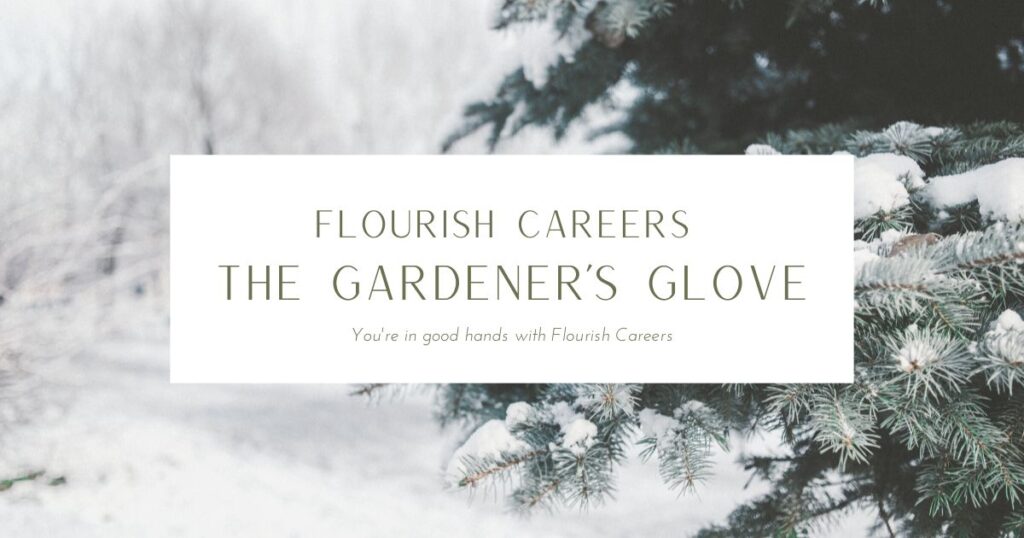 Winter’s Energy-Cultivating To-Do List | Flourish Careers