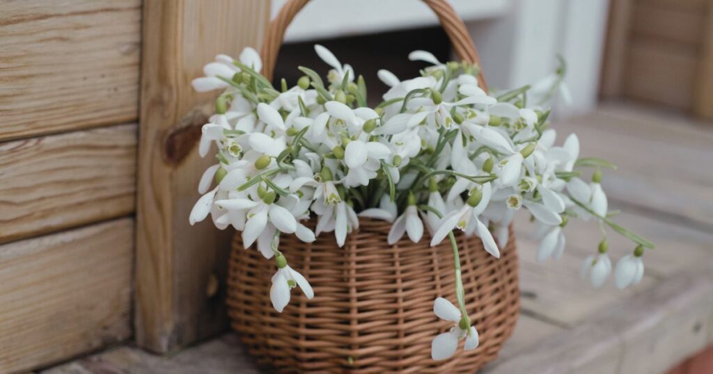 wicker basket overflowing with fresh cut spring flowers on a wooden step Flourish Careers